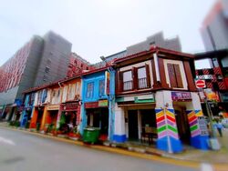Little India Conservation Area (D8), Shop House #602657691